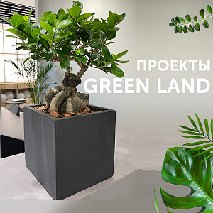 Рубрика <Новые проекты GREEN LAND>